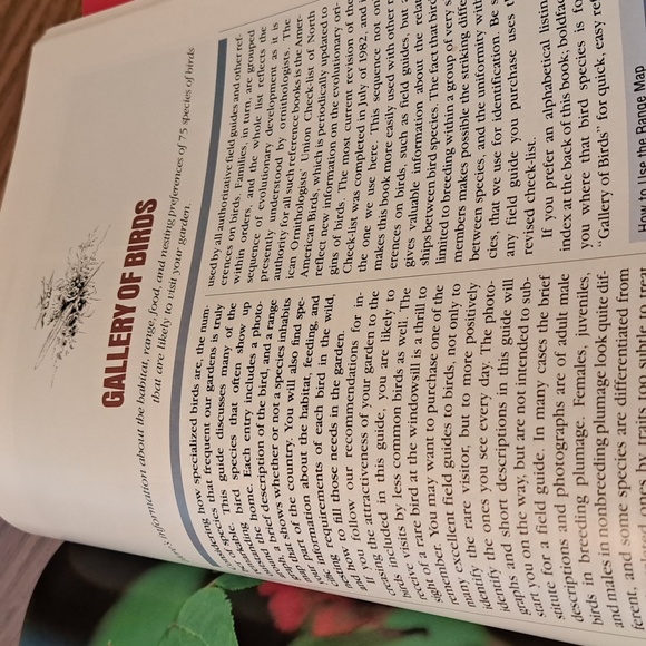 How to attract Birds/ BUNDLE ONLY 2or more items - Picture 15 of 16